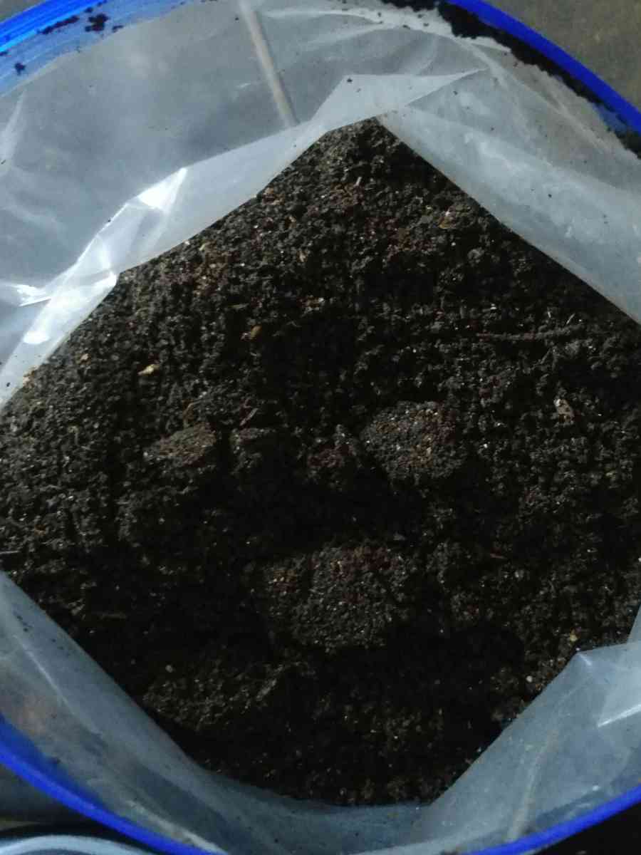 worm castings - Avondale, Arizona