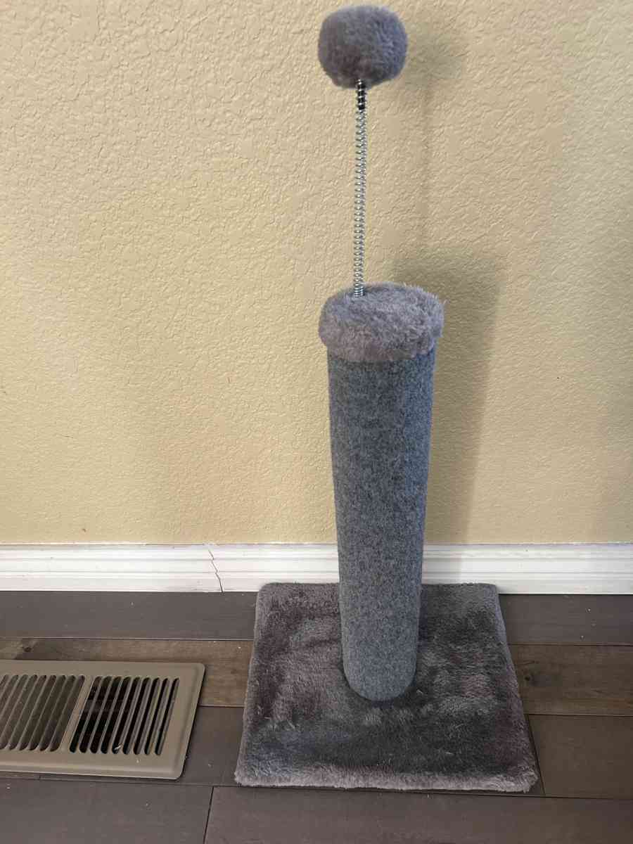 cat scratcher - Aurora, Colorado