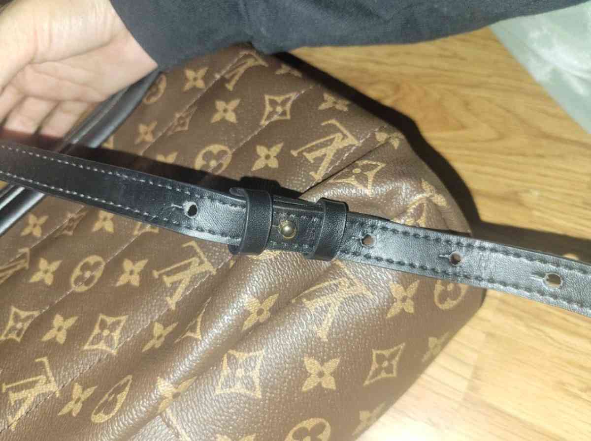 Louis Vuitton Palm Springs Mini - Omaha, Nebraska - FleaMarketBay