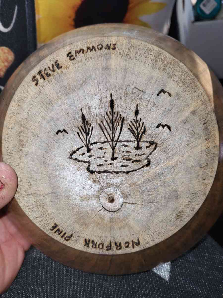 norfolk island pine vessel - Wildwood, Florida