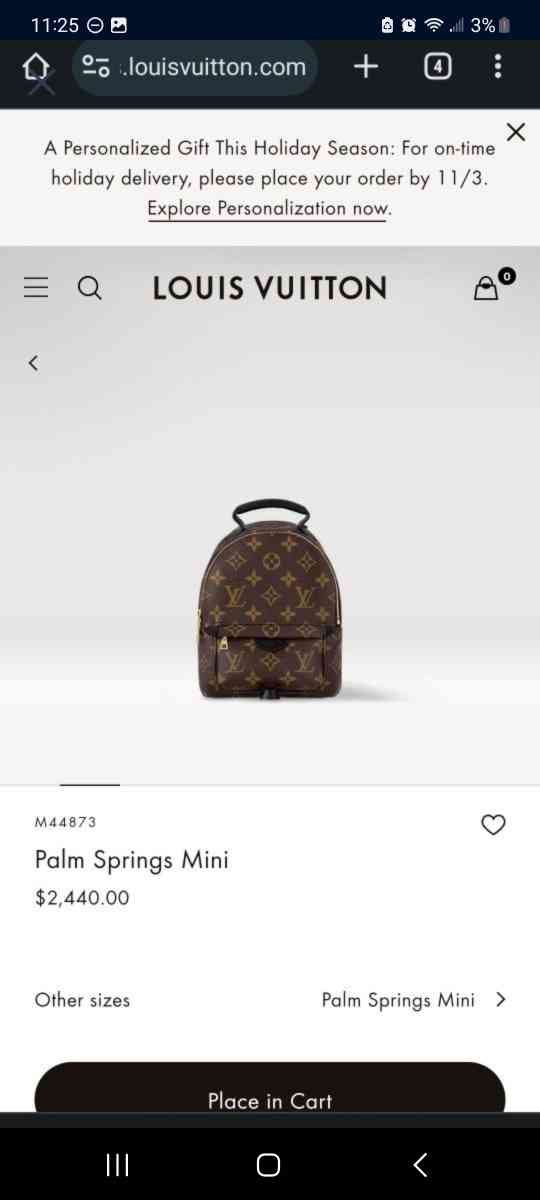 Louis Vuitton Palm Springs Mini - Omaha, Nebraska - FleaMarketBay