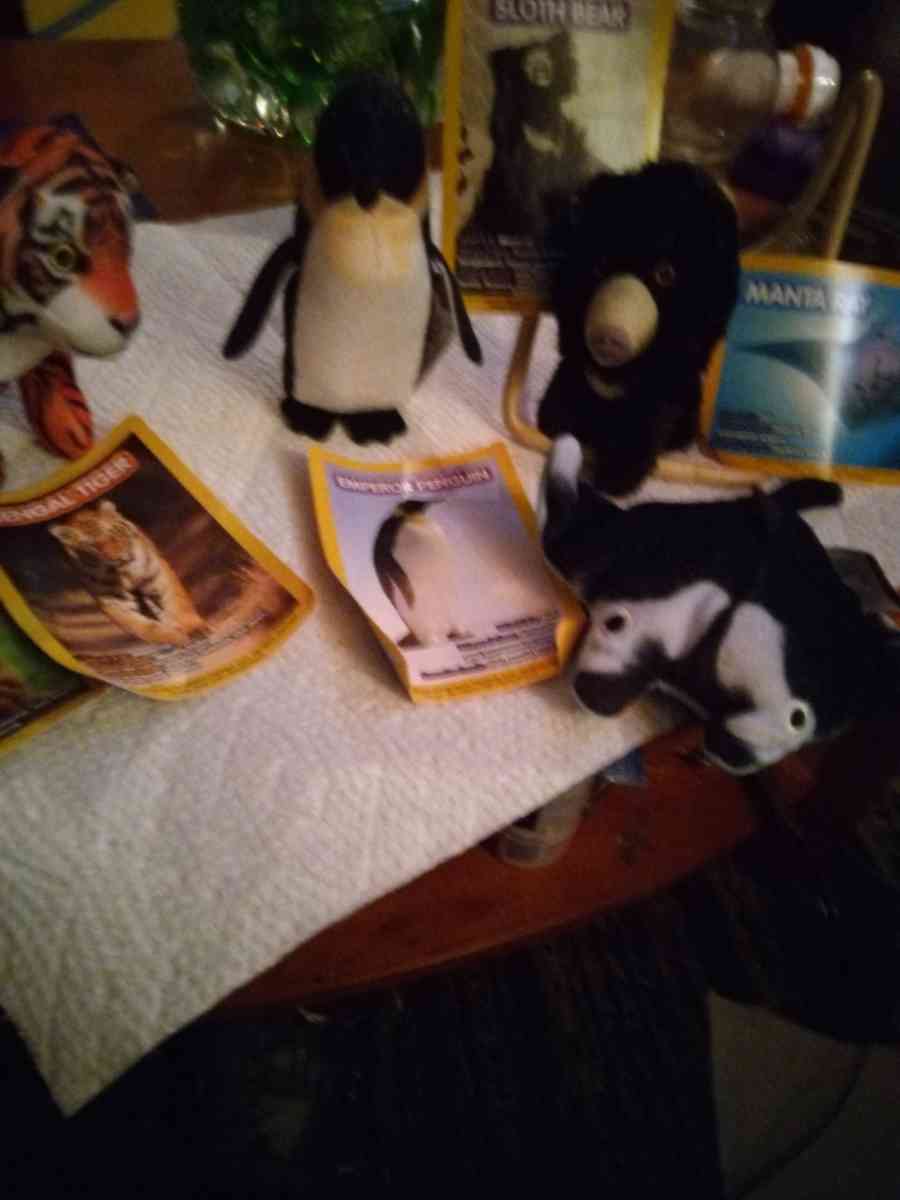 5 National Geographic Kids plush toys - Pawtucket, Rhode Island - FleaMarketBay