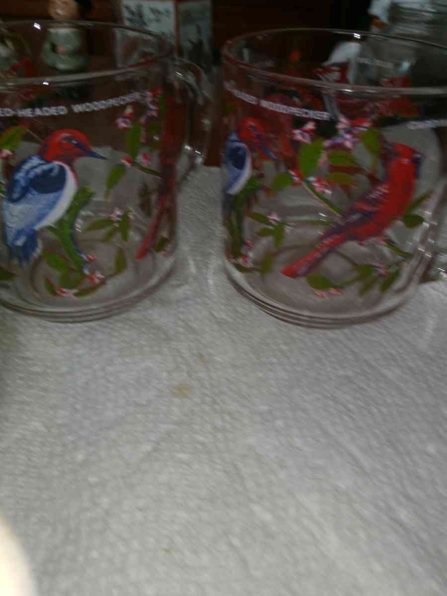 4 Arcorac Audubon Birds of America Mugs - Pawtucket, Rhode Island - FleaMarketBay