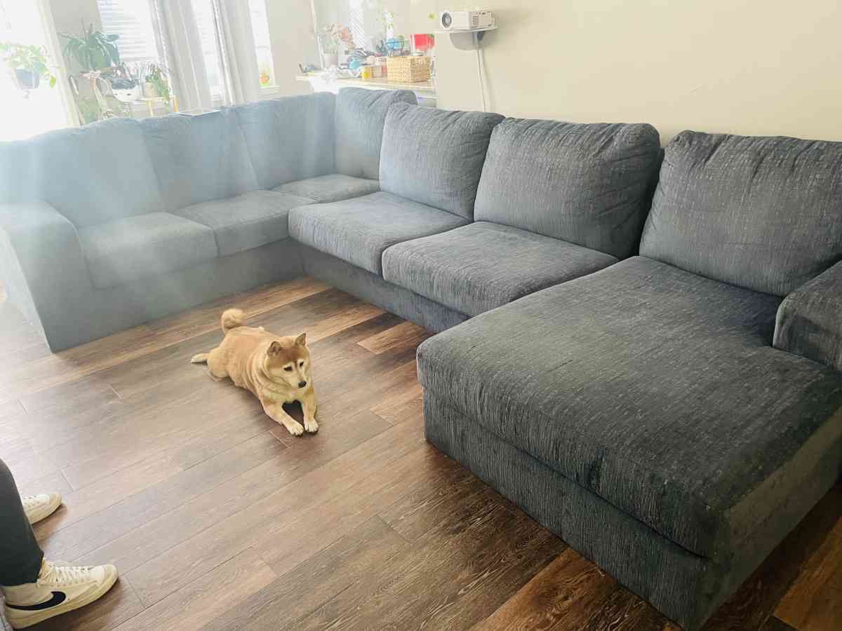 Blue comfy coach - Alexandria, Virginia