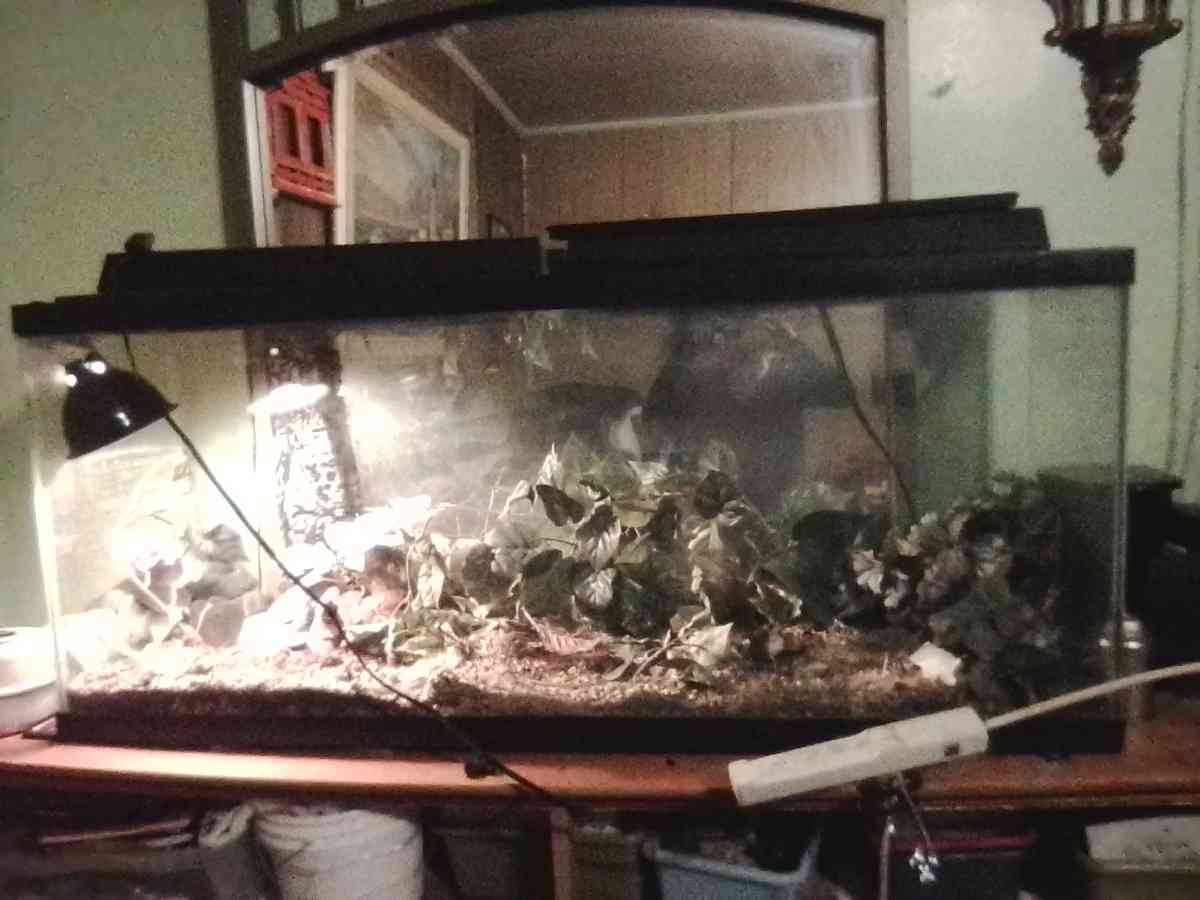 fish tank - Louisville, Kentucky