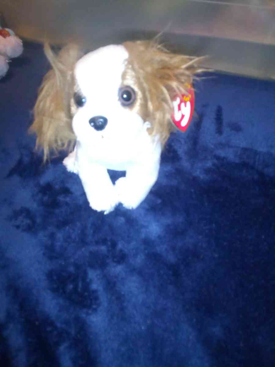 2001 Ty beanie babies regal mint selling collection off - New Port Richey, Florida