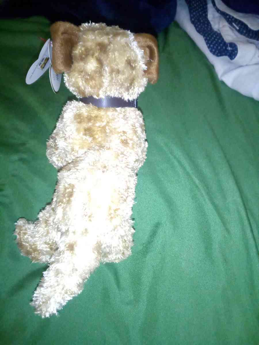 2004 Ty beanie babies Odie mint selling collection off - New Port Richey, Florida - FleaMarketBay