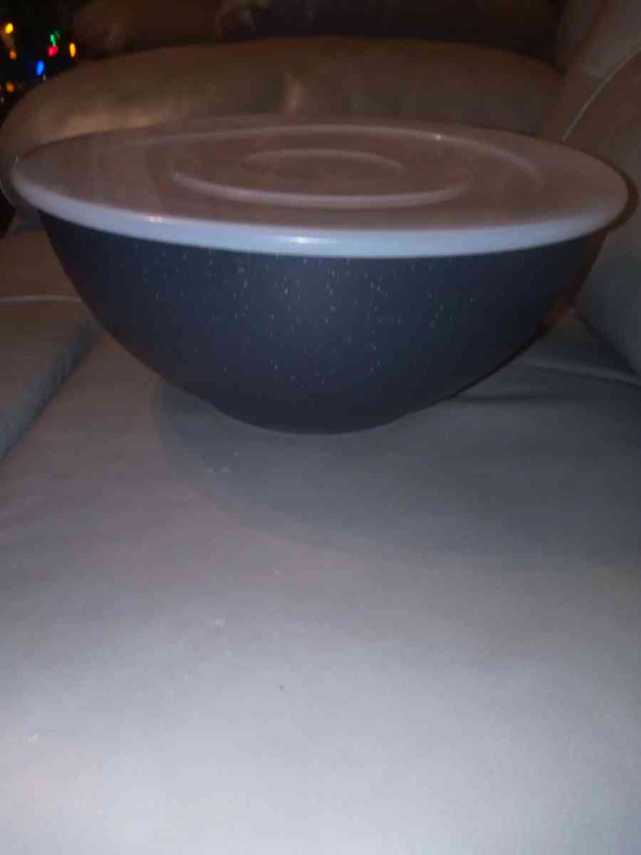 large bowl with secure lid - Davenport, Florida - FleaMarketBay