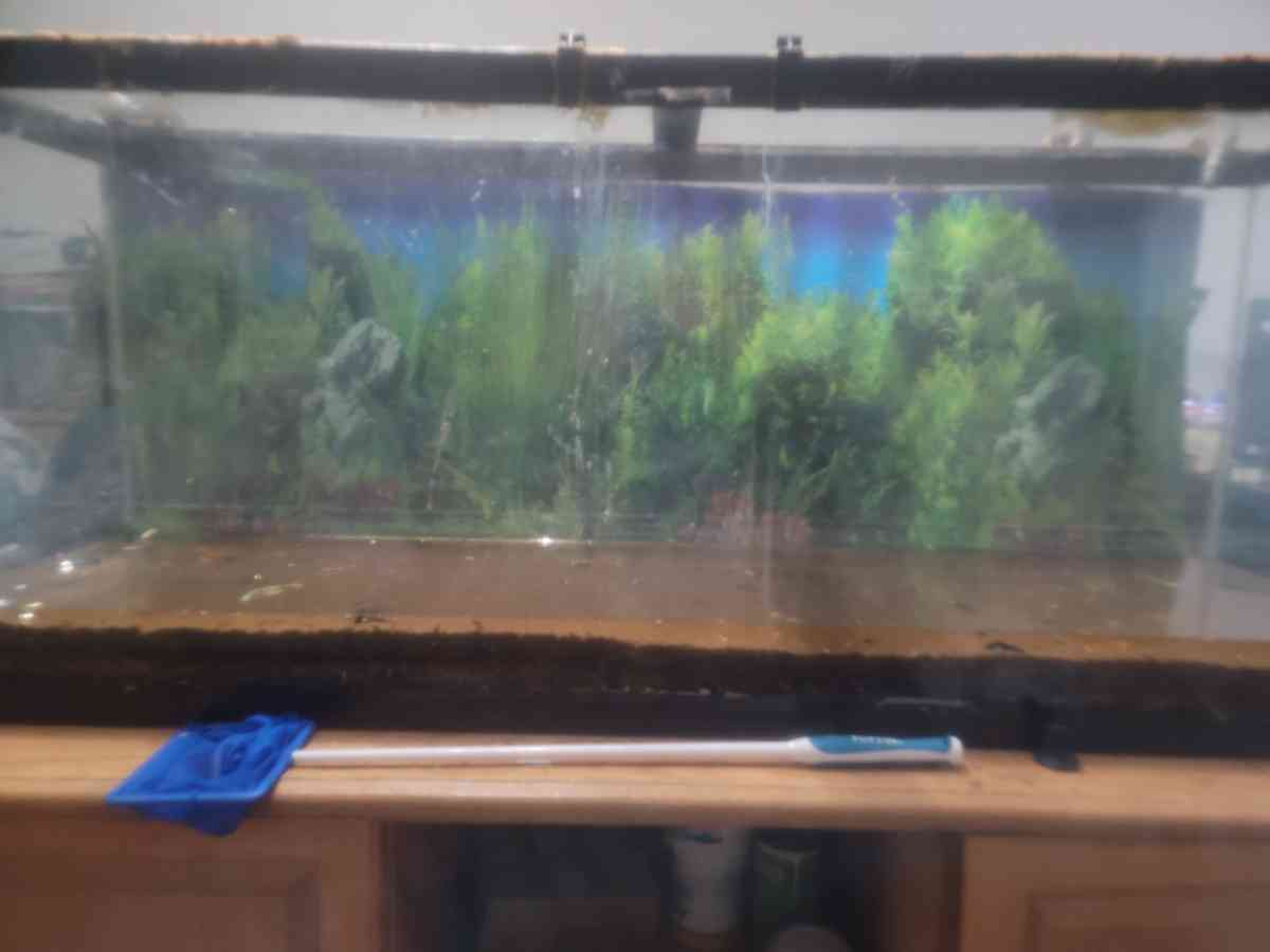 55 gal fish tank - San Antonio, Texas - FleaMarketBay