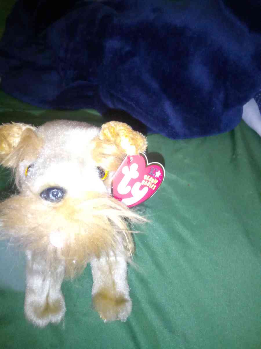 2002 Ty beanie babies 10 yrs Schnitzel mint selling collecti - New Port Richey, Florida - FleaMarketBay