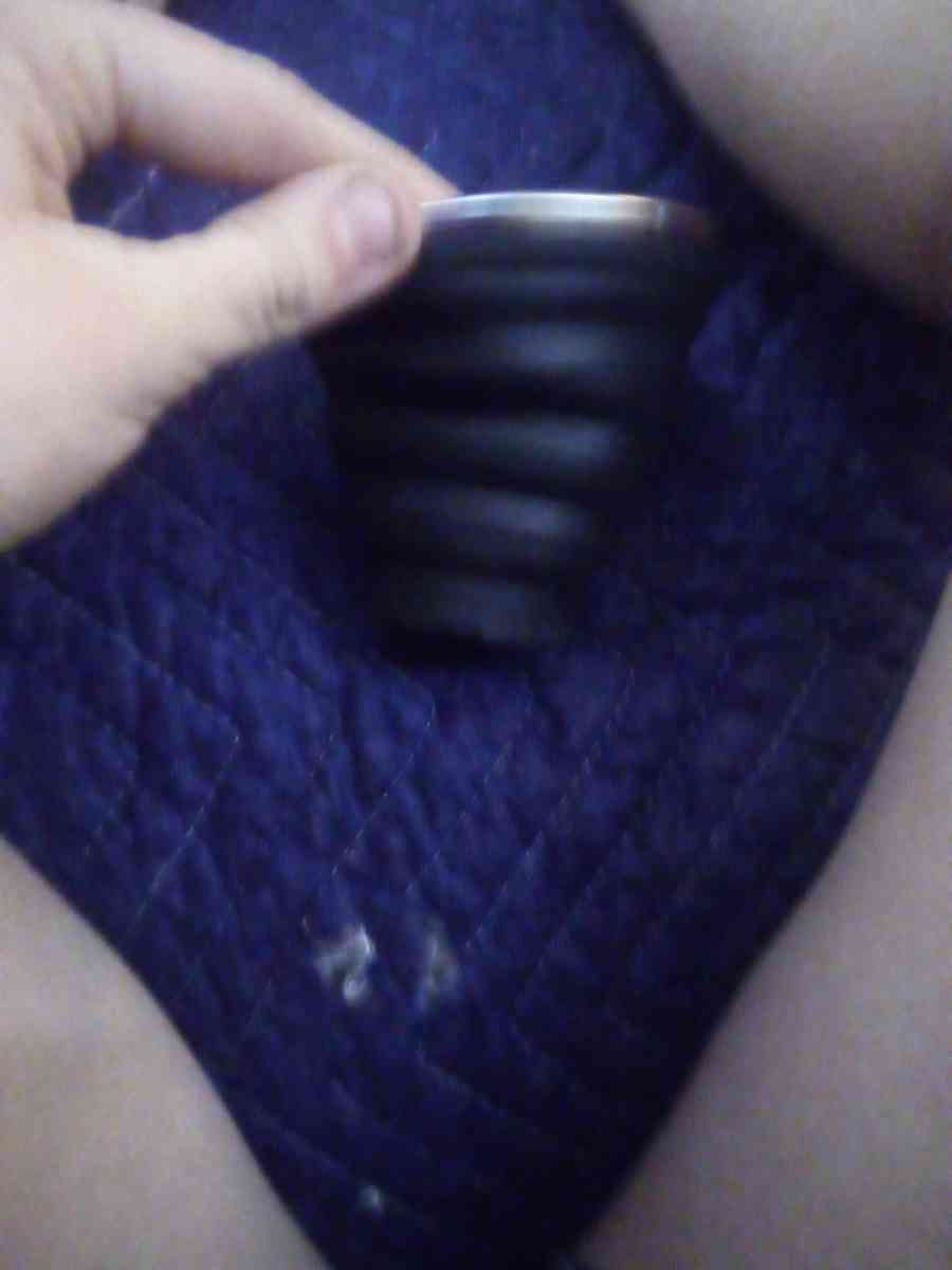 Travel dog cup - Terre Haute, Indiana