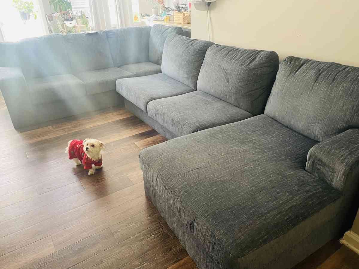 Blue comfy coach - Alexandria, Virginia - FleaMarketBay