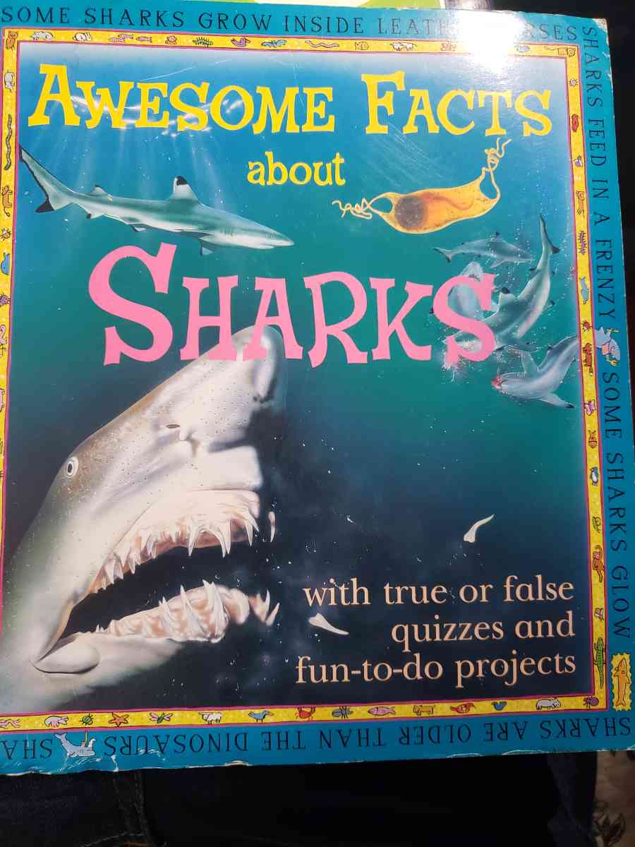 awesome facts about sharks - Asheville, North Carolina