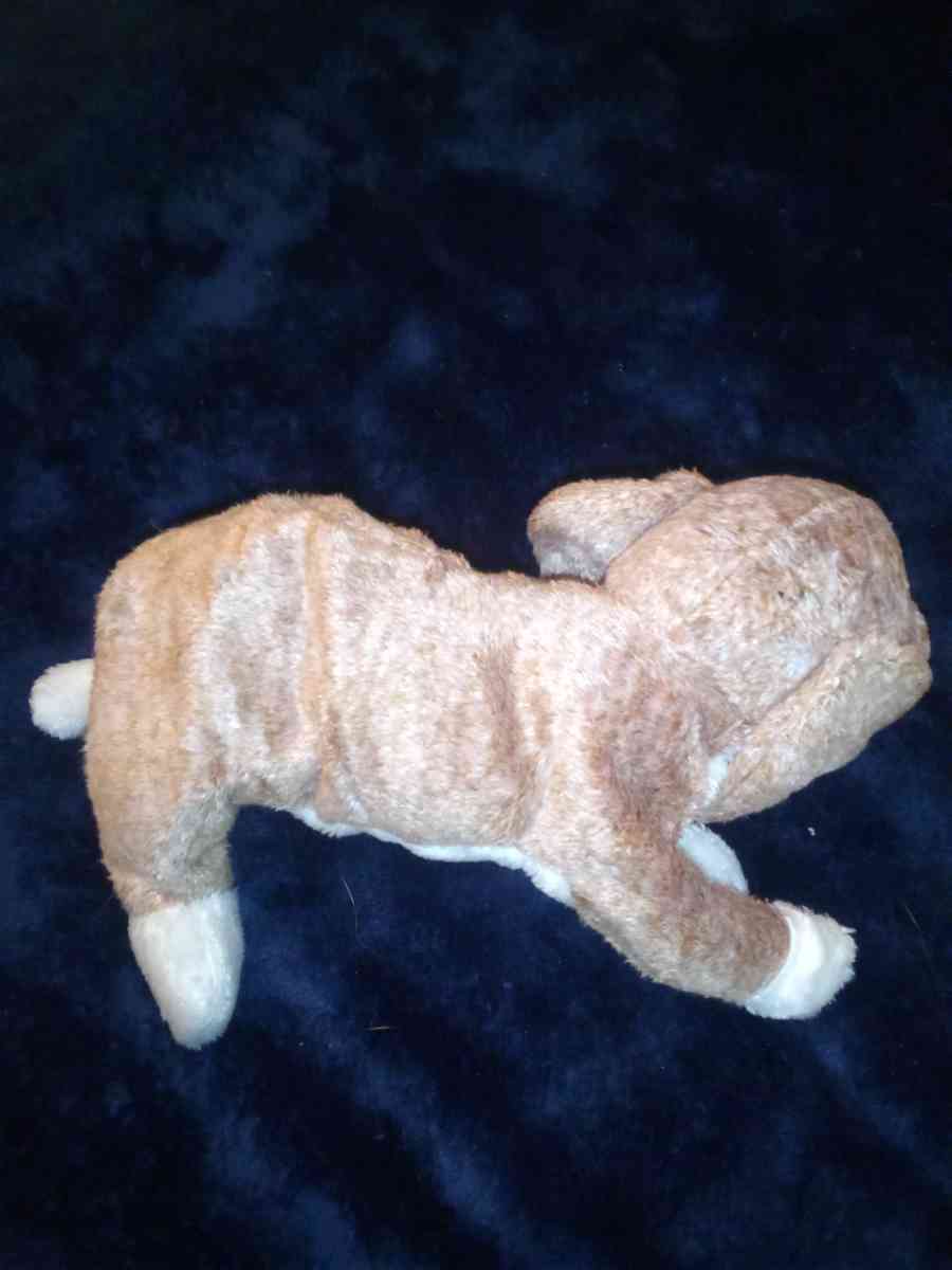 2000 Ty beanie babies sniffer mint selling collection off - New Port Richey, Florida - FleaMarketBay