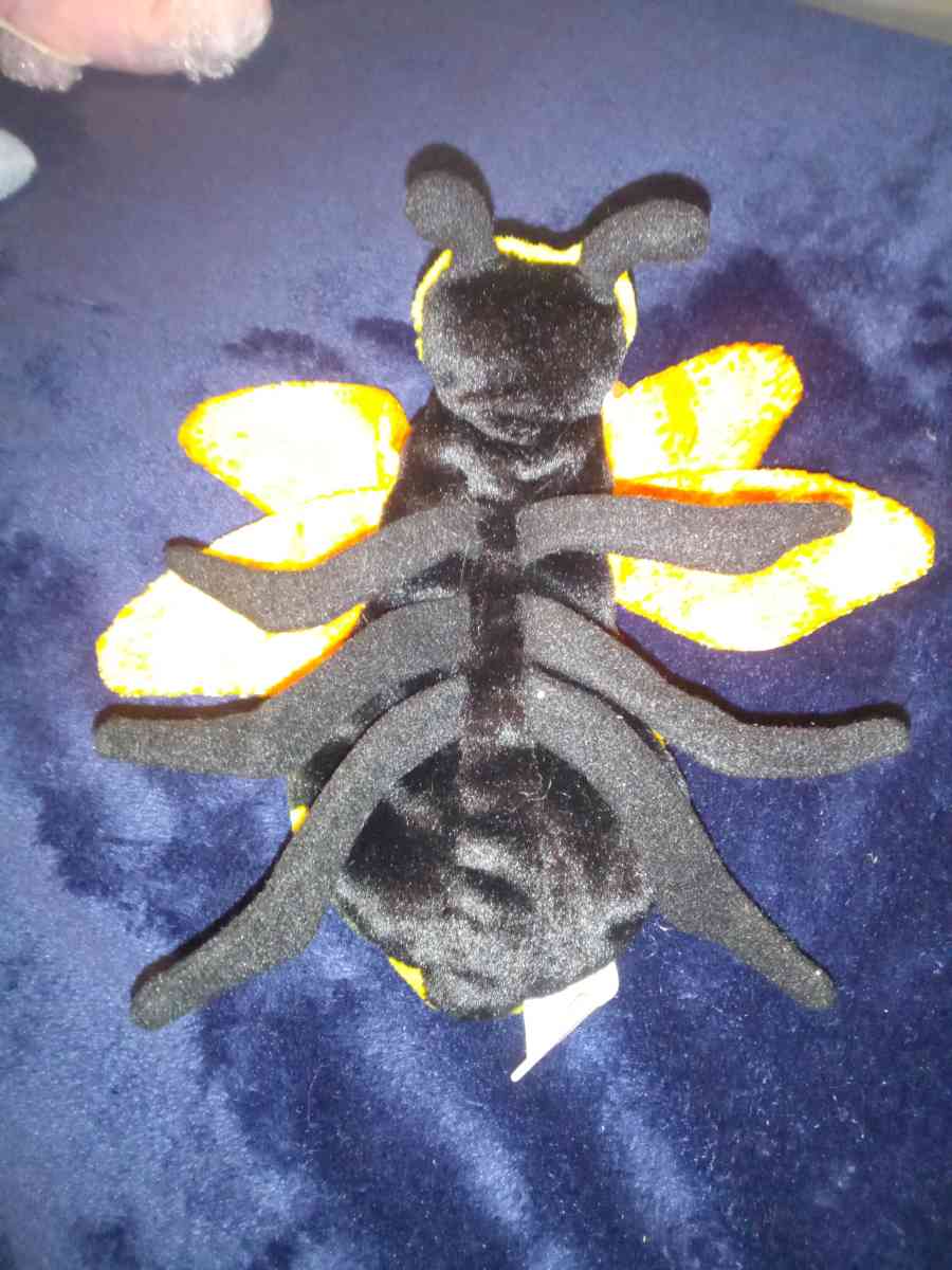 2001 Ty beanie babies buzzie mint selling collection off - New Port Richey, Florida - FleaMarketBay
