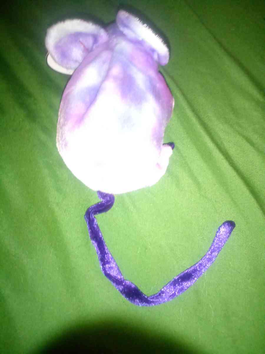 2000 Ty beanie babies zodiac rat mint selling collection off - New Port Richey, Florida - FleaMarketBay