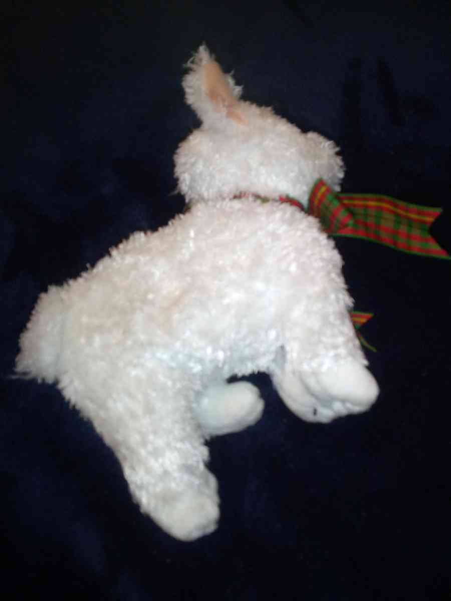 2001 Ty beanie babies Kirby mint selling collection off - New Port Richey, Florida