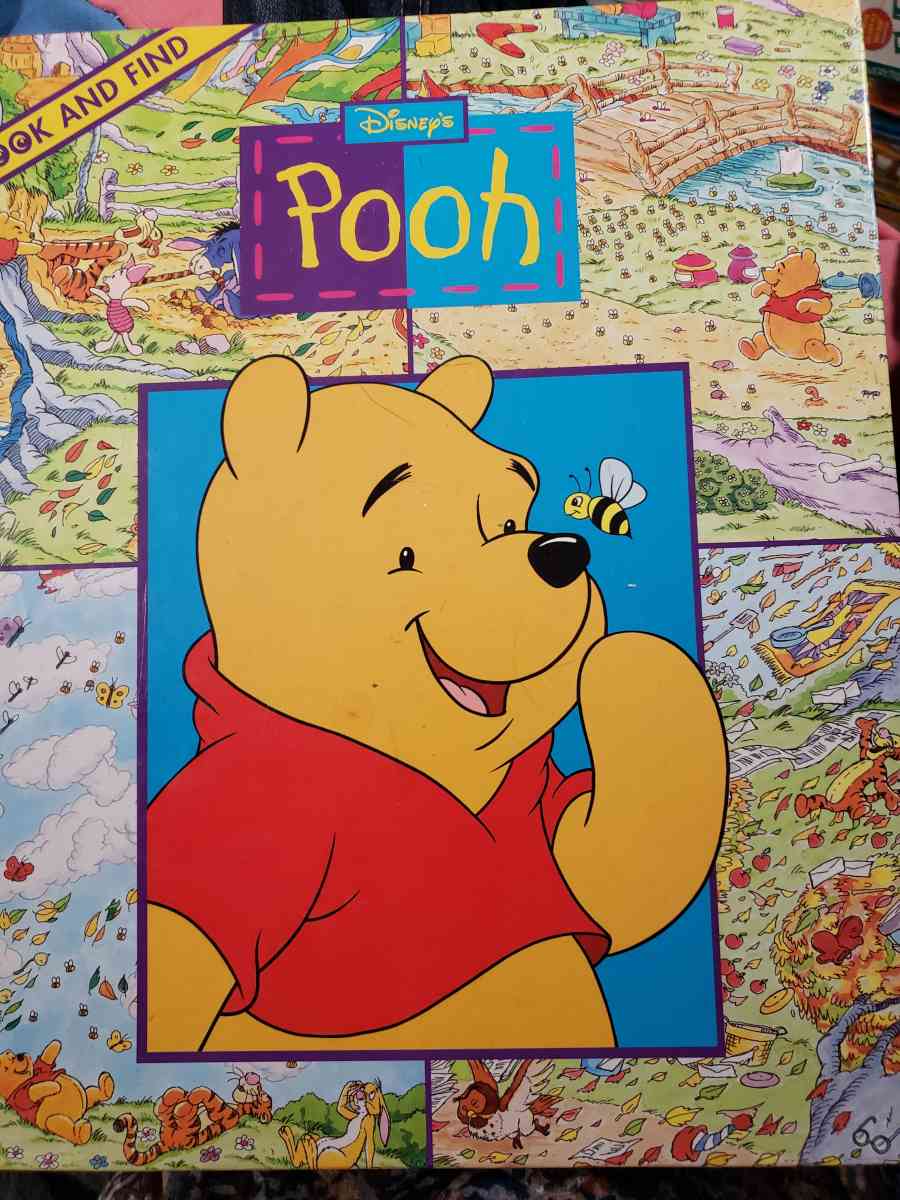 Disney Pooh - Asheville, North Carolina