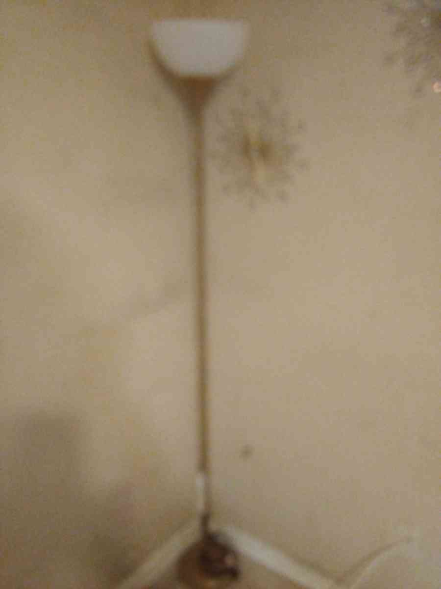 2x Shade Lamps - Tampa, Florida