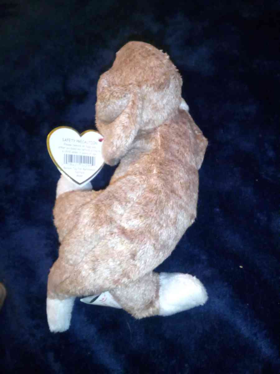 2000 Ty beanie babies sniffer mint selling collection off - New Port Richey, Florida - FleaMarketBay