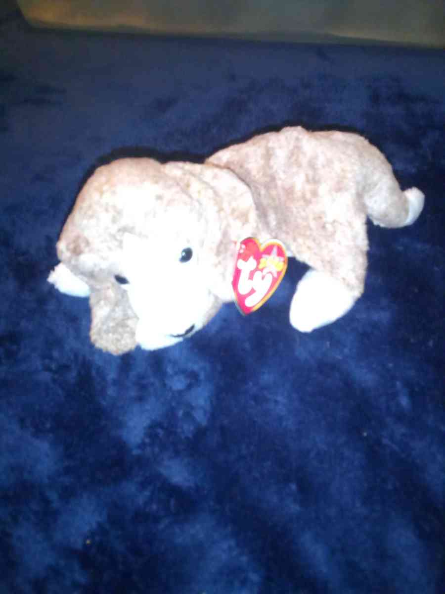 2000 Ty beanie babies sniffer mint selling collection off - New Port Richey, Florida