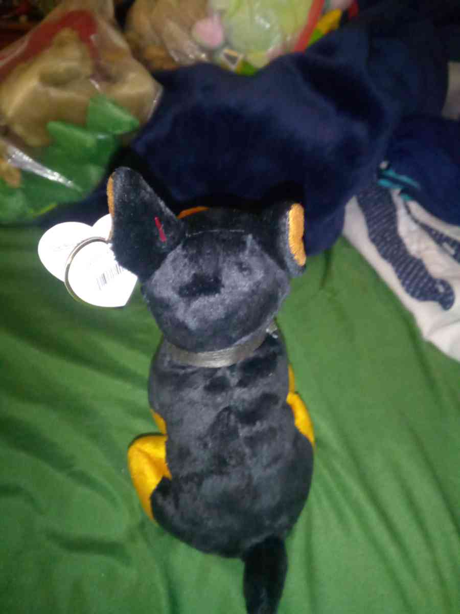 2004 Ty beanie babies Luca mint selling collection - New Port Richey, Florida - FleaMarketBay