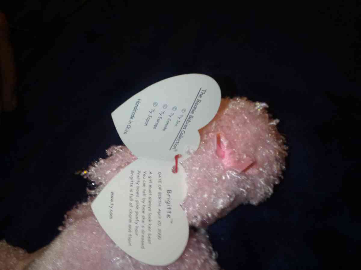 2001 Ty beanie babies Brigitte mint selling collection off - New Port Richey, Florida - FleaMarketBay