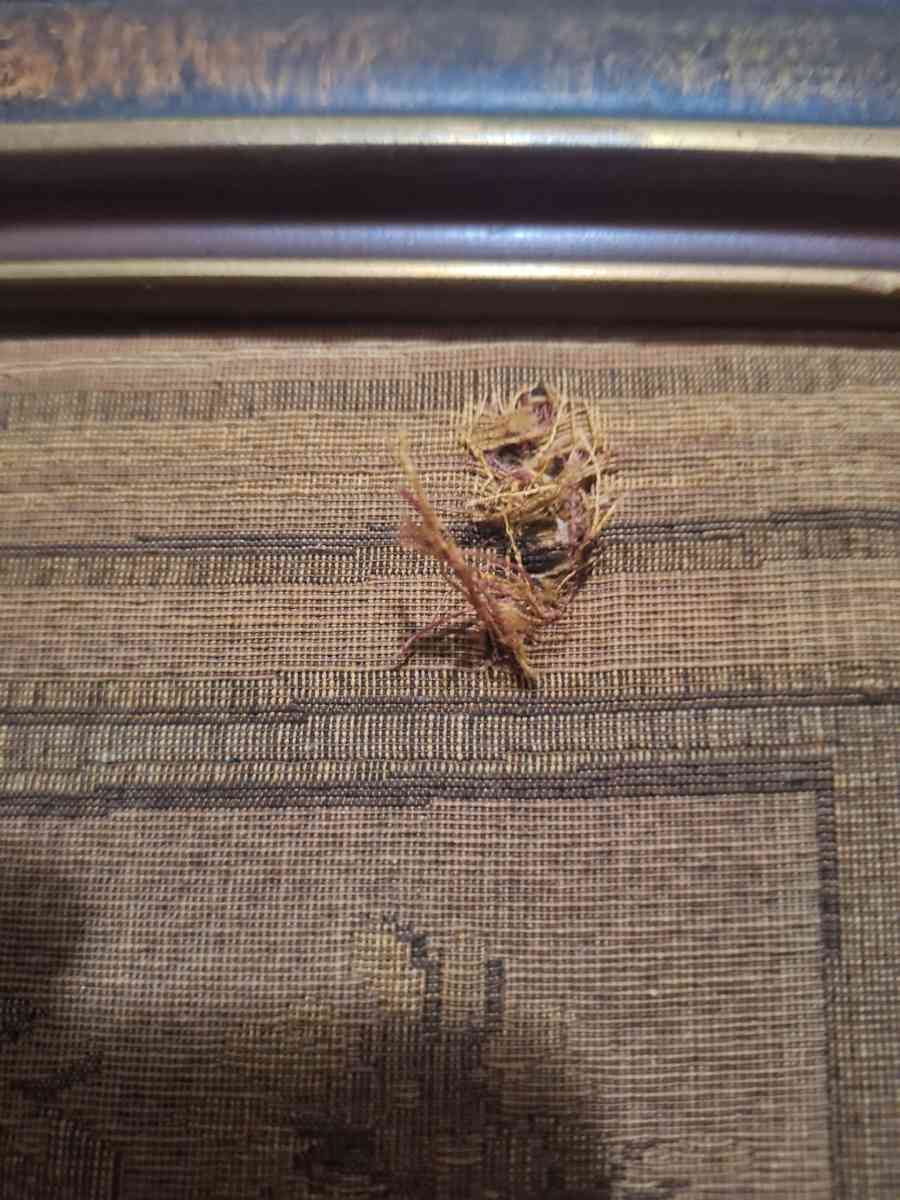 19th Century cloth etching beautiful framed - Maysville, Kentucky