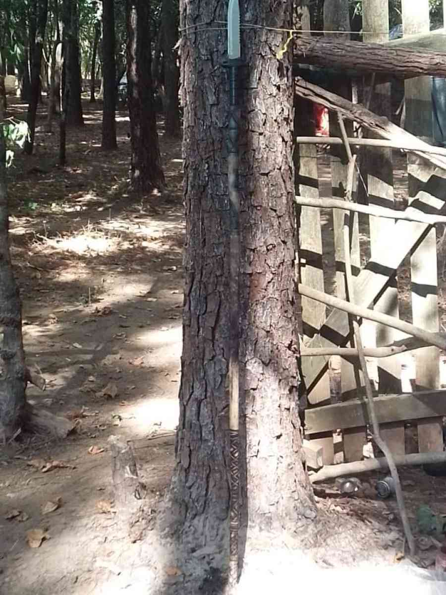 hand crafted wooden walking sticks - Cartersville, Georgia - FleaMarketBay