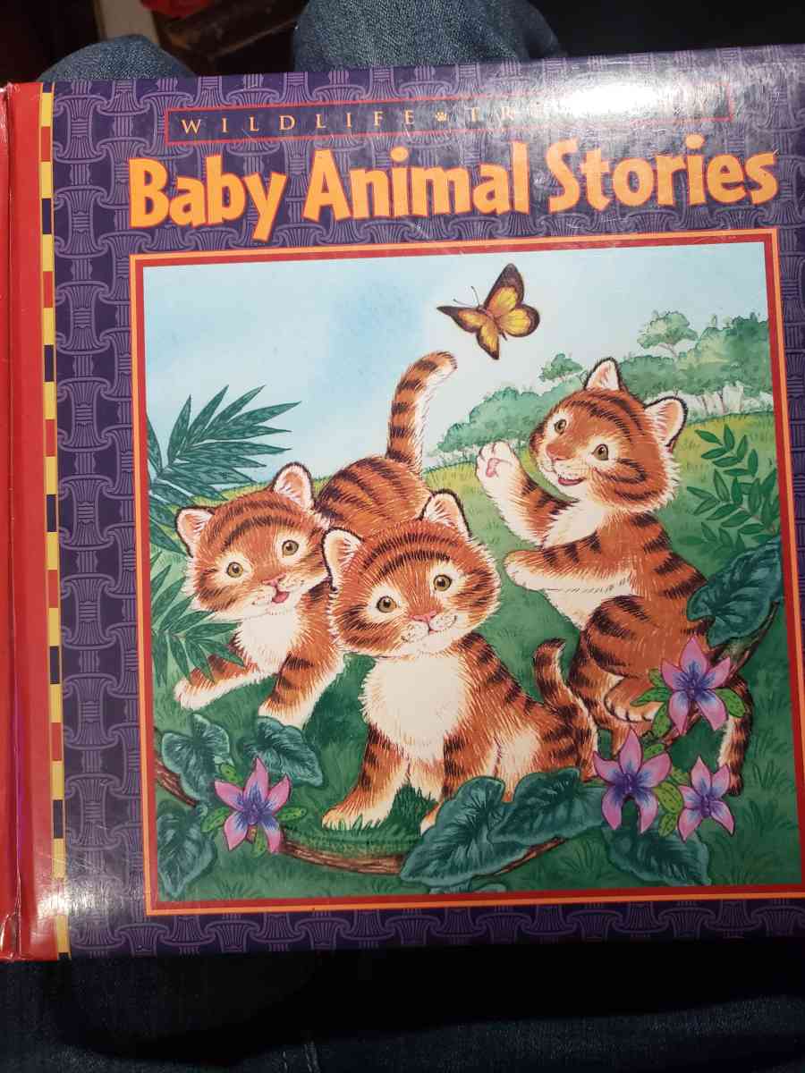 baby animals - Asheville, North Carolina