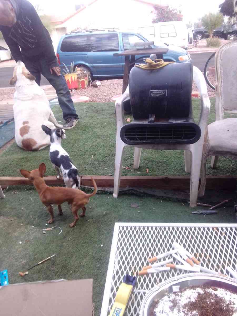 commercial blower - Las Vegas, Nevada - FleaMarketBay