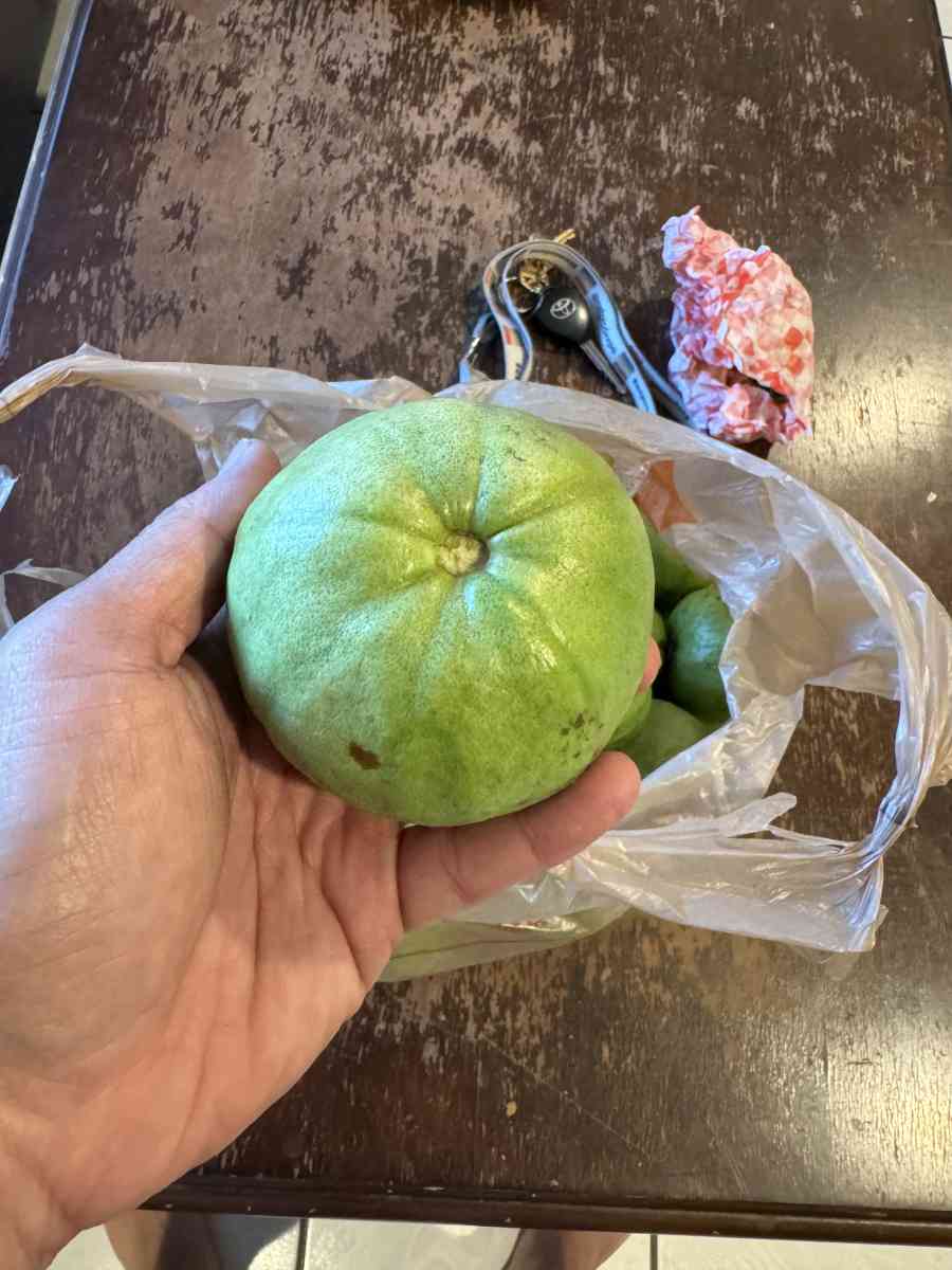 white guava 3 usd per pound - Garden Grove, California - FleaMarketBay