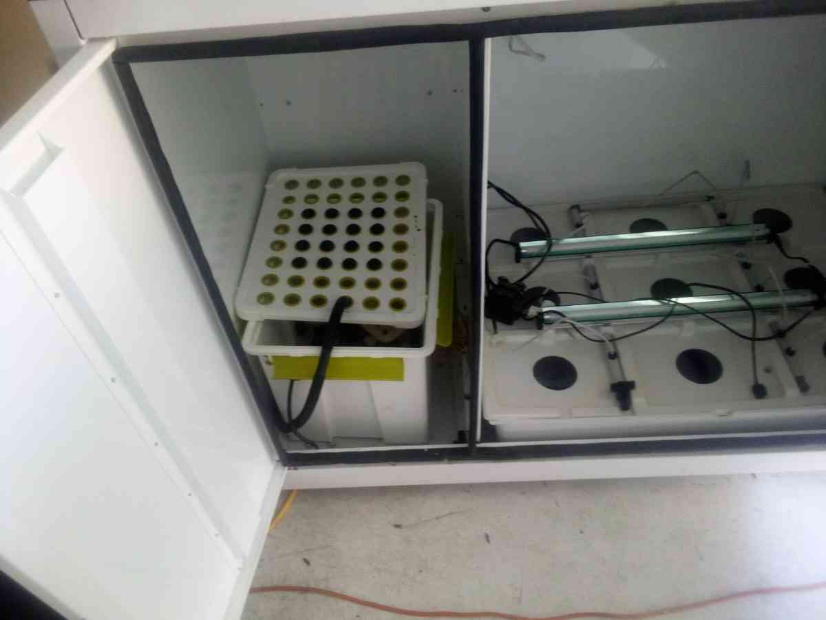 Bc northern lights hydroponics grow system box with extras - New Port Richey, Florida