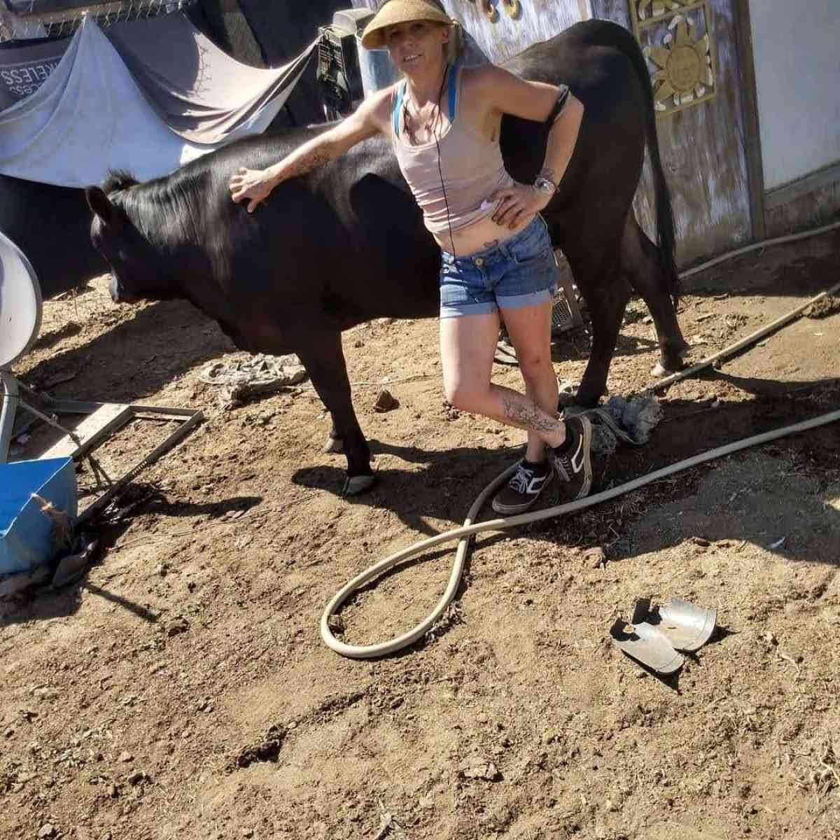 Bags of Fresh Manure - Visalia, California