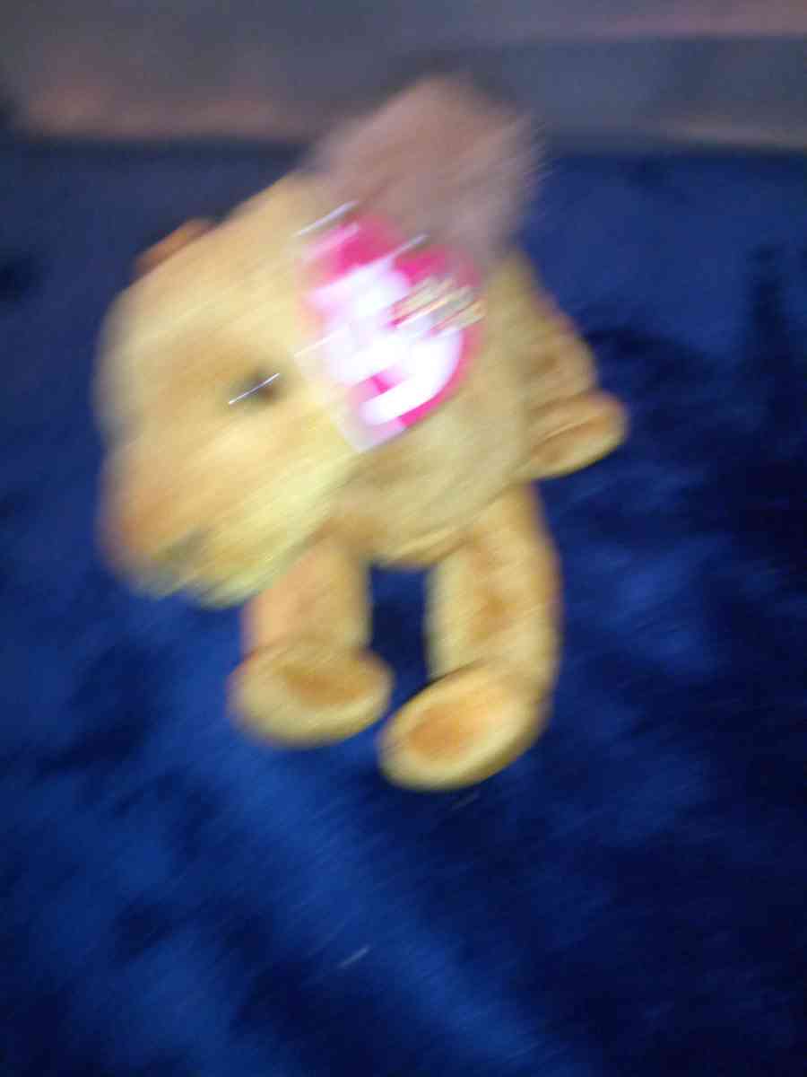 2000 Ty beanie babies Niles mint selling collection off - New Port Richey, Florida - FleaMarketBay