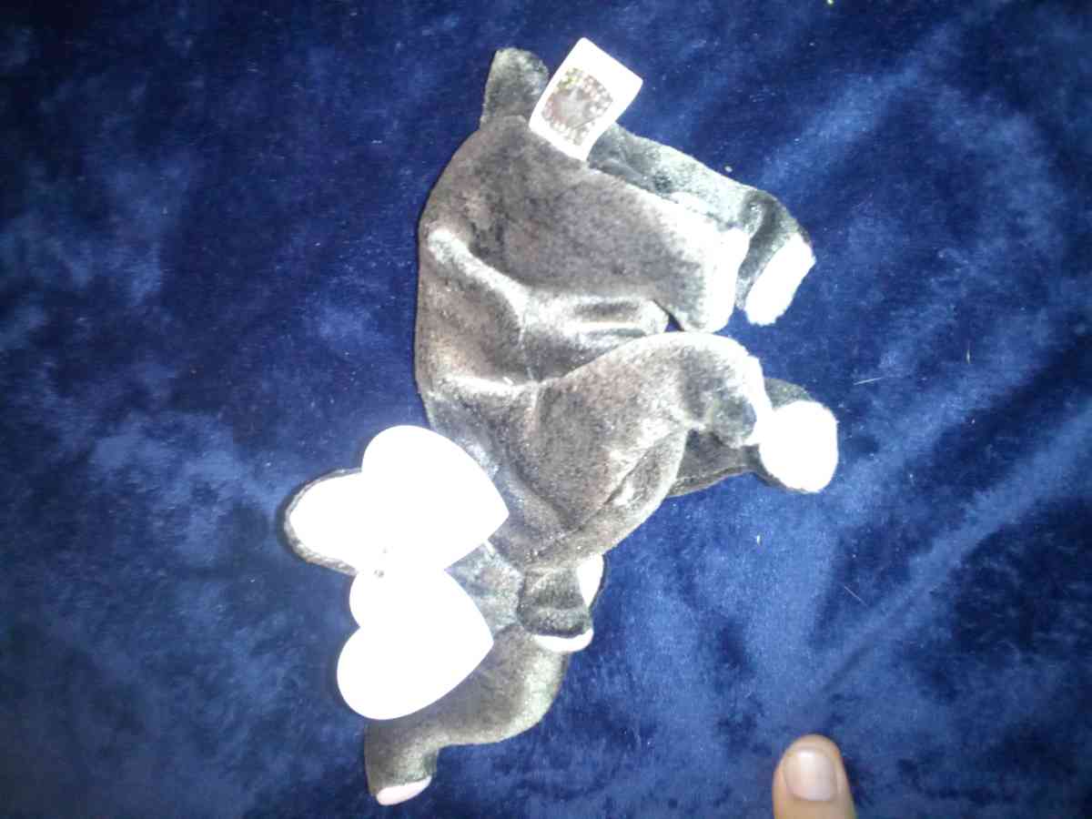 2000 Ty beanie babies Trumpet mint selling collection off - New Port Richey, Florida - FleaMarketBay