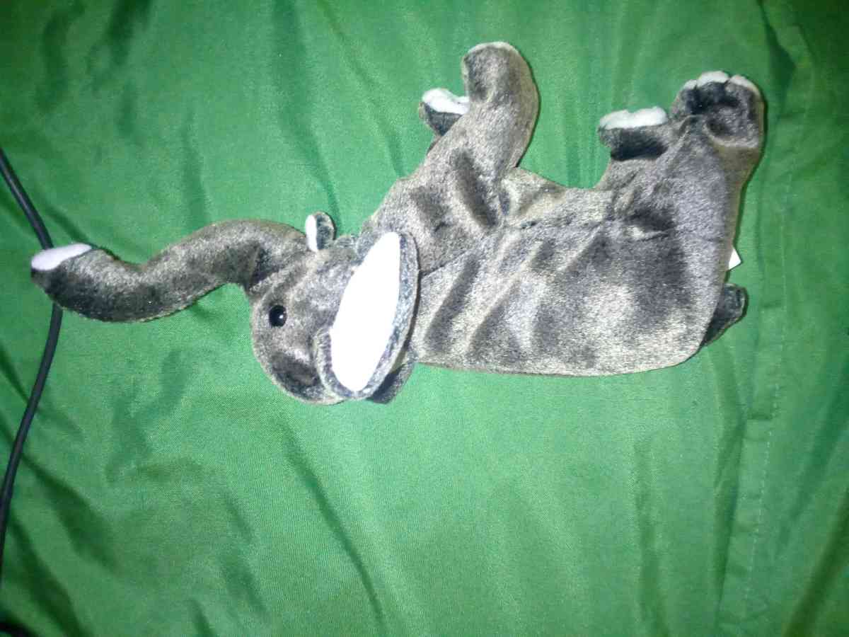 2000 Ty beanie babies trumpet elephant mint selling collec - New Port Richey, Florida