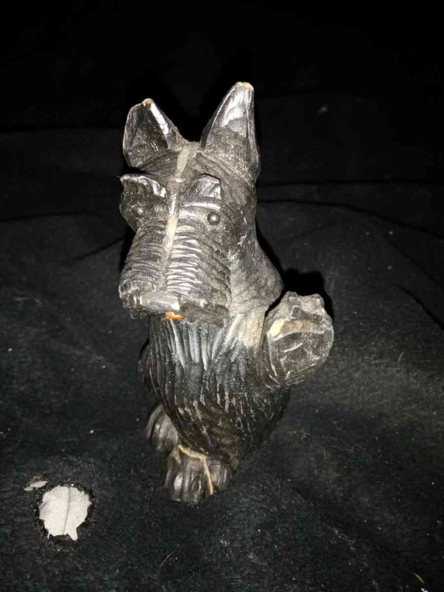 black terrier dog - Dedham, Massachusetts - FleaMarketBay