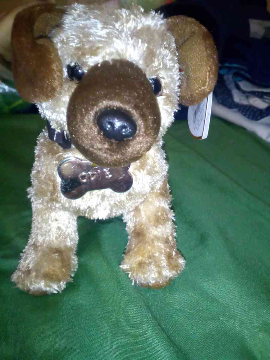 2004 Ty beanie babies Odie mint selling collection off - New Port Richey, Florida