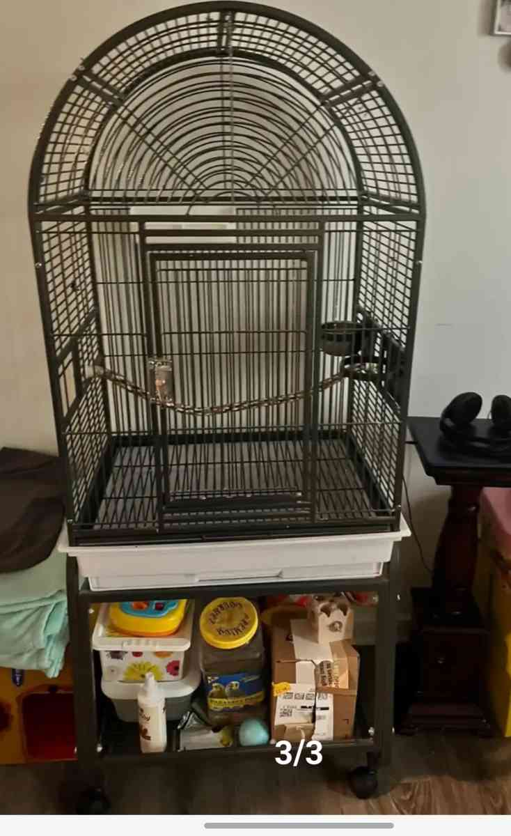 Large  Bird Cage  With Two cockatiel - Orlando, Florida - FleaMarketBay
