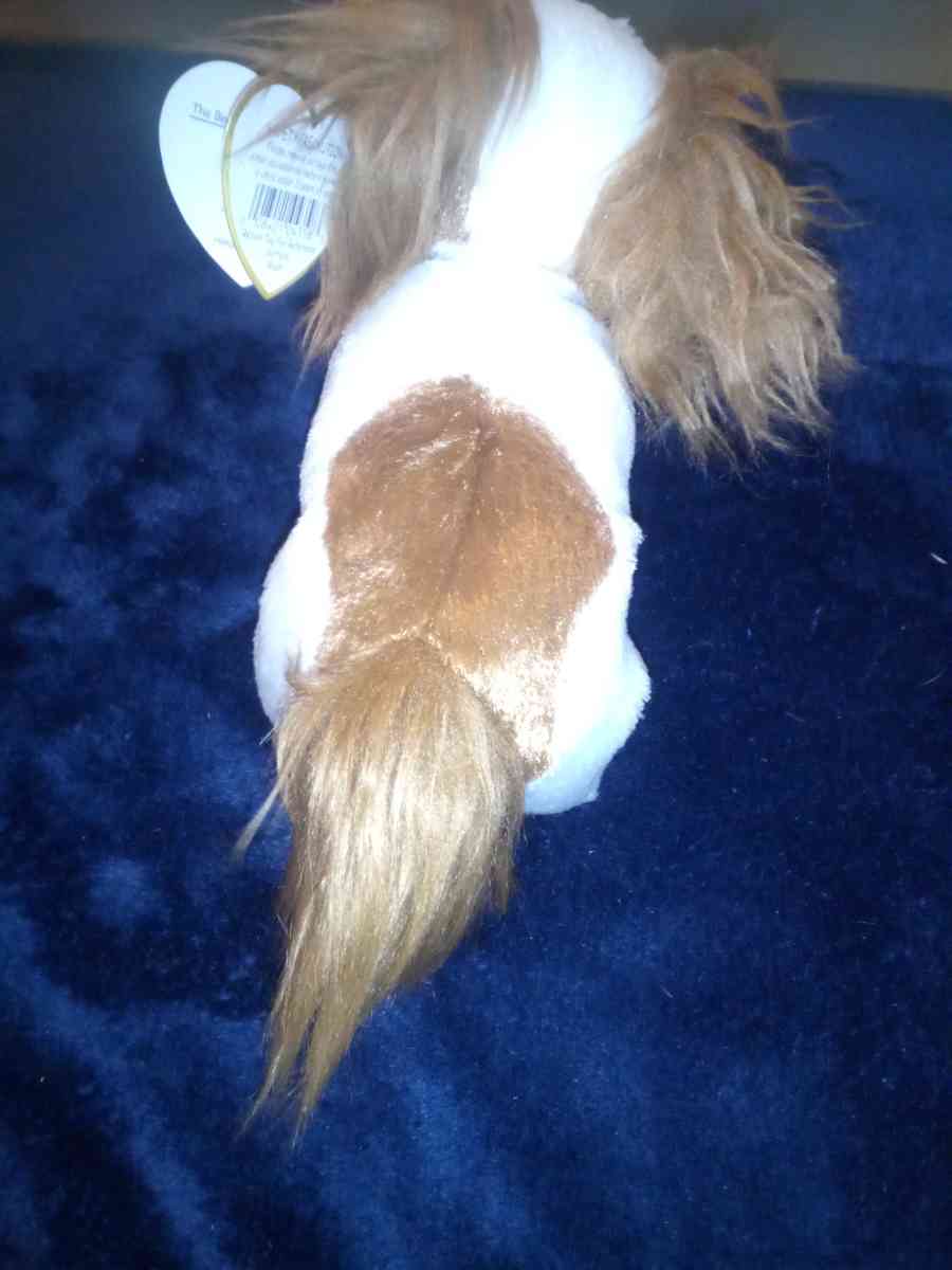 2001 Ty beanie babies regal mint selling collection off - New Port Richey, Florida - FleaMarketBay