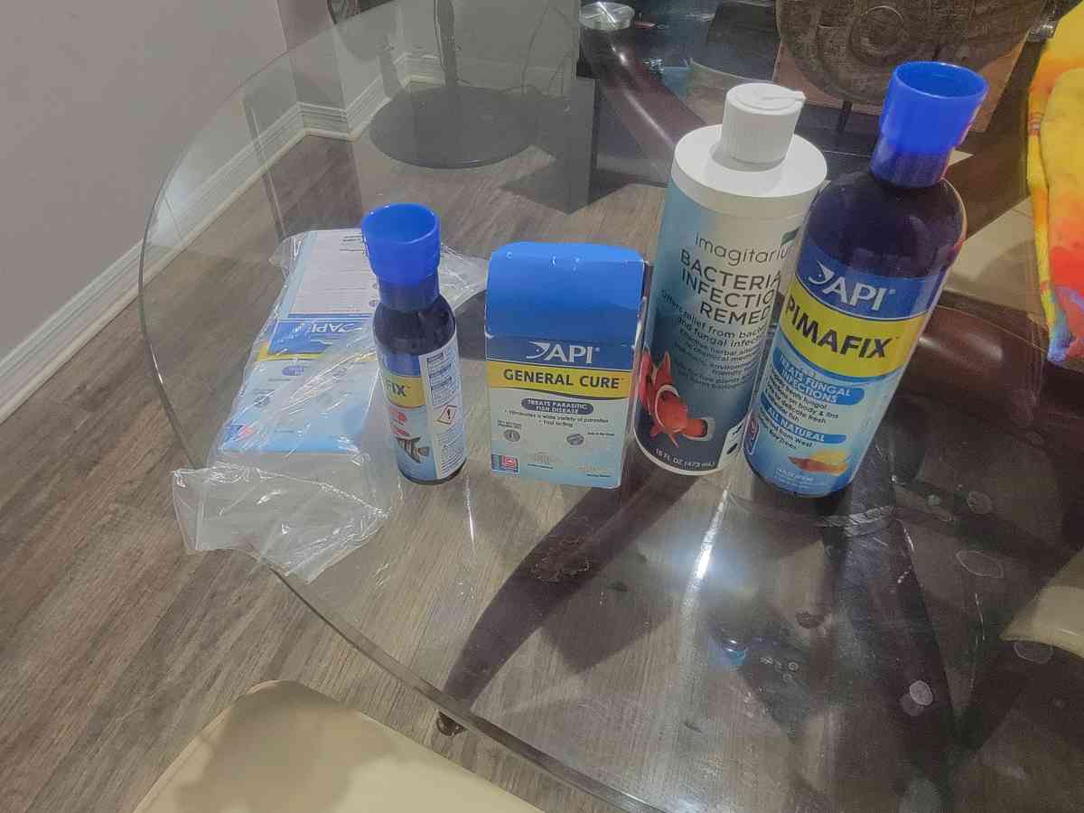 75 gallon Aquarium - Pembroke Pines, Florida - FleaMarketBay