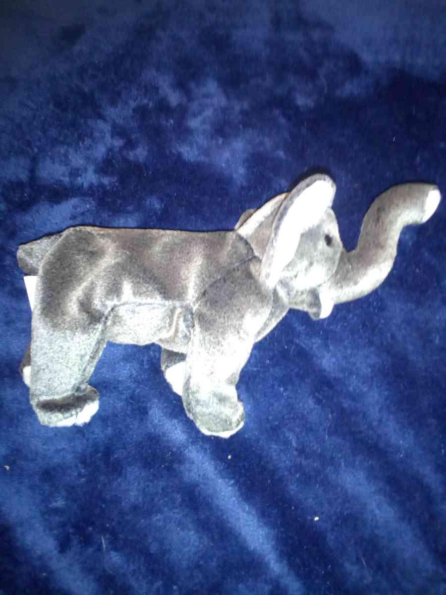 2000 Ty beanie babies Trumpet mint selling collection off - New Port Richey, Florida - FleaMarketBay