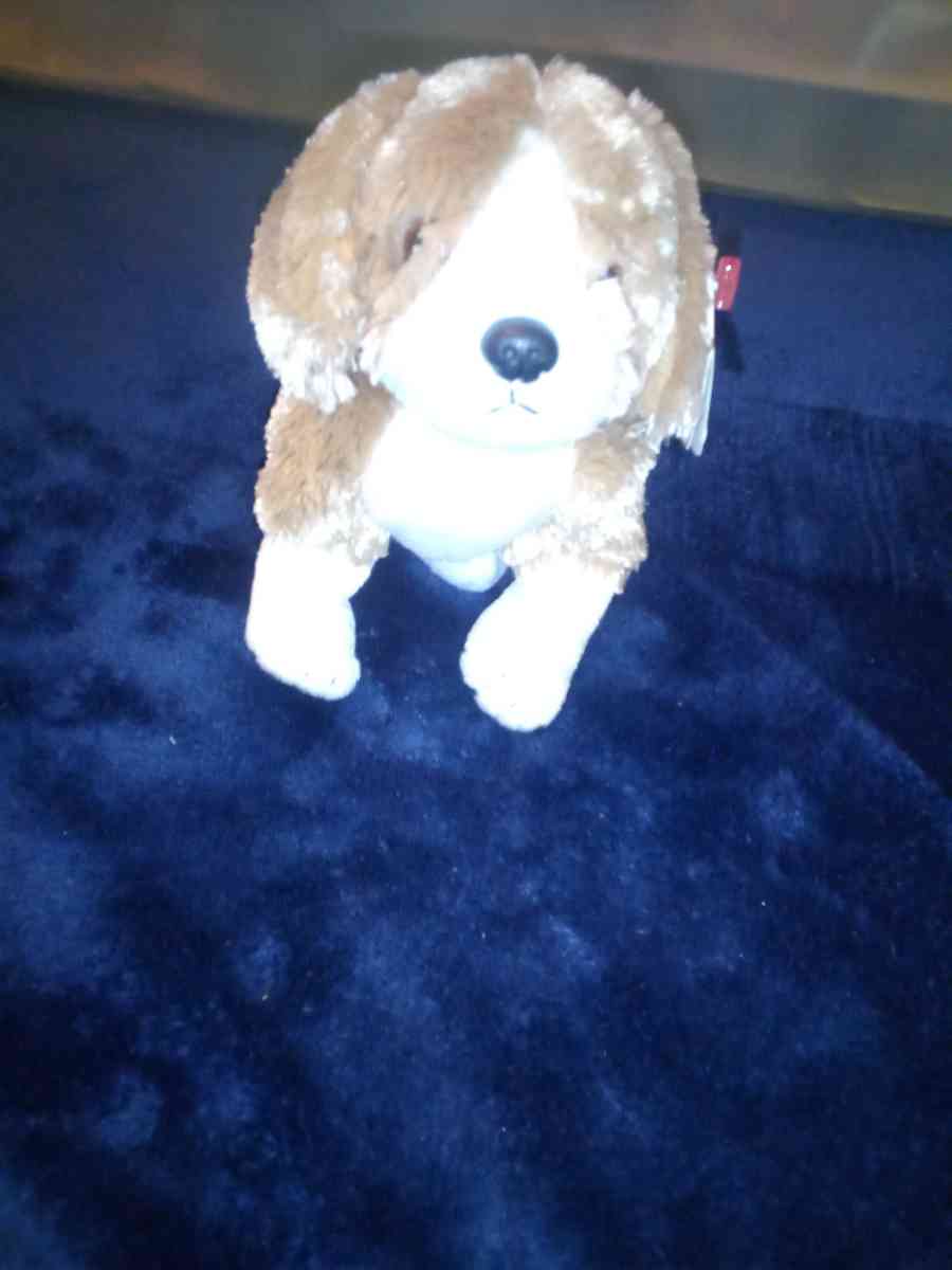 2003 Ty beanie babies side kick mint selling collection off - New Port Richey, Florida - FleaMarketBay