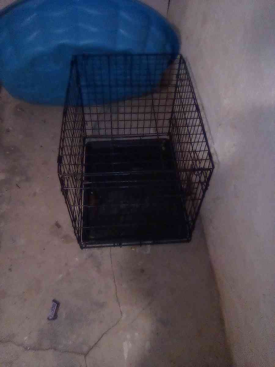 med size dog cage - Covington, Kentucky