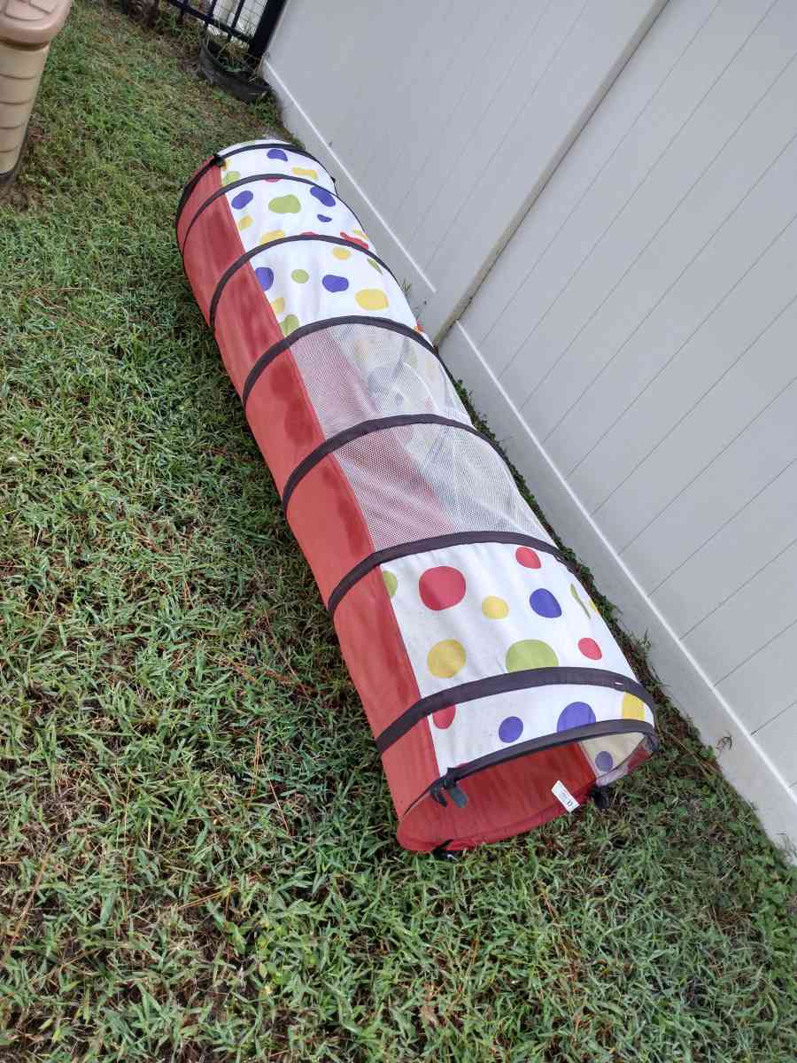 toddler crawl through tunnel - Brooksville, Florida