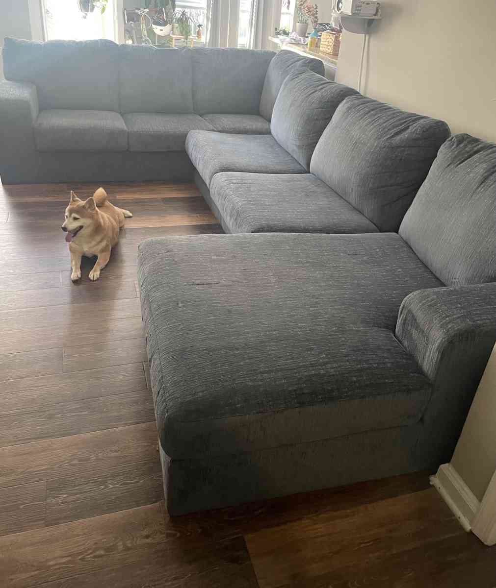 Blue comfy coach - Alexandria, Virginia - FleaMarketBay