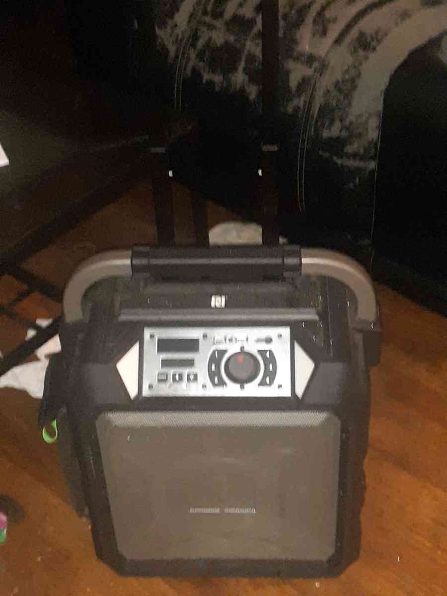 Rockin Roller Speaker - Detroit, Michigan - FleaMarketBay