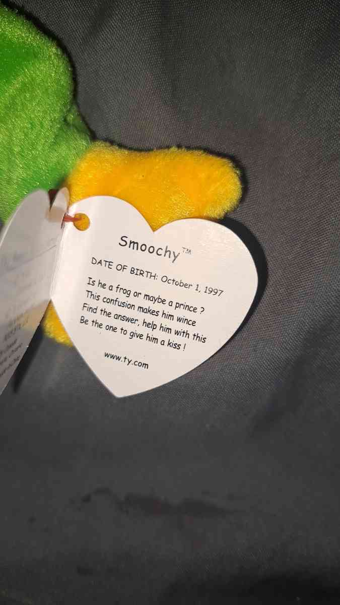 Beanie Babies Smoochy The Frog - Cincinnati, Ohio - FleaMarketBay