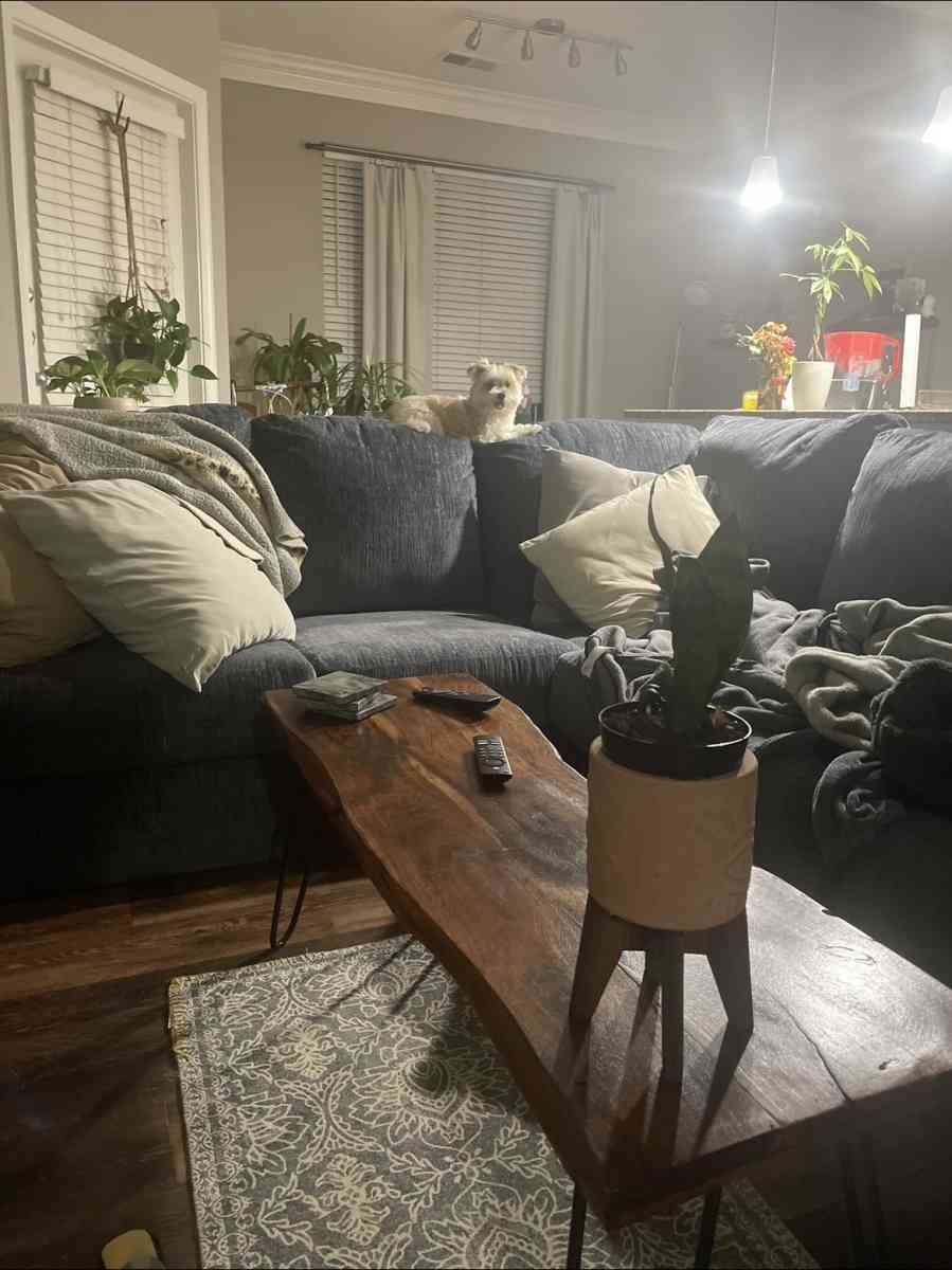 Blue comfy coach - Alexandria, Virginia - FleaMarketBay